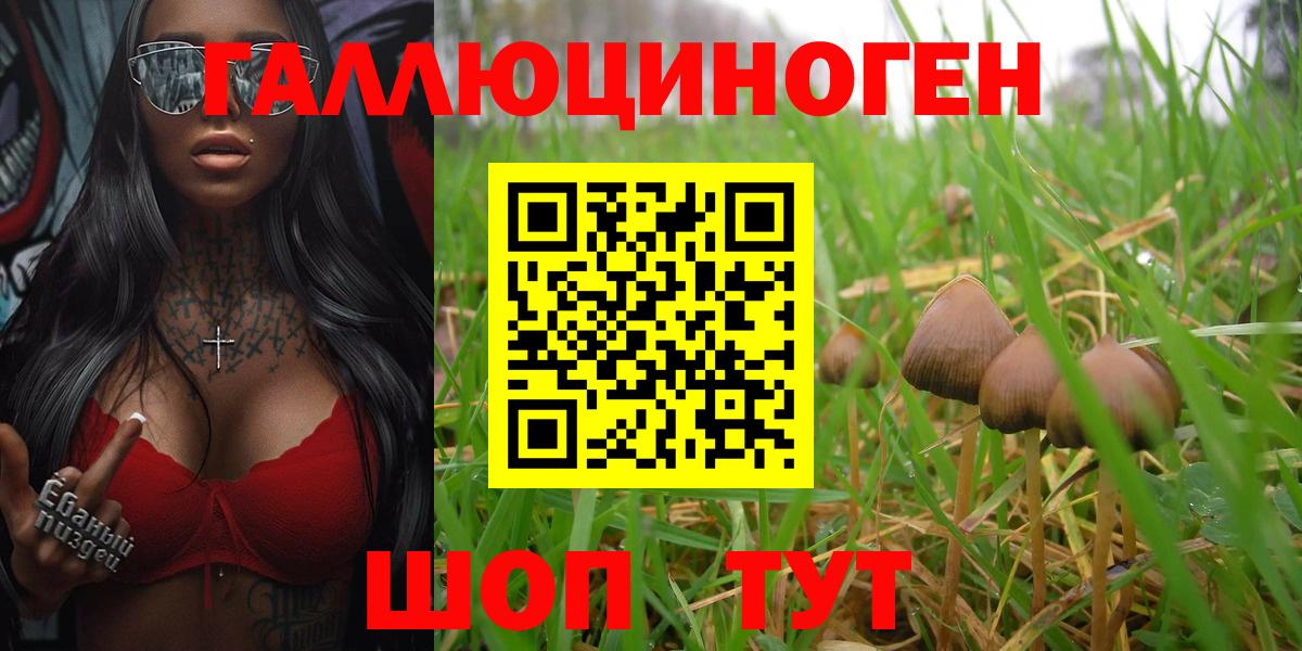 Псилоцибиновые грибы Psilocybine cubensis  Галлюциногенные грибы Psilocybe  Вход с VPN  Ялта 